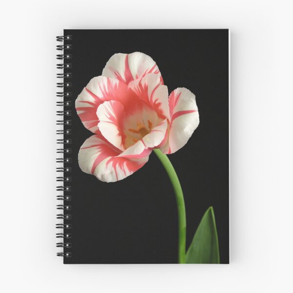 Item preview, Sorbet Tulip designed and sold by BonnieJames.