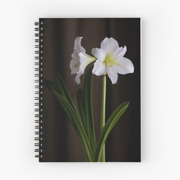 Item preview, Amaryllis designed and sold by BonnieJames.
