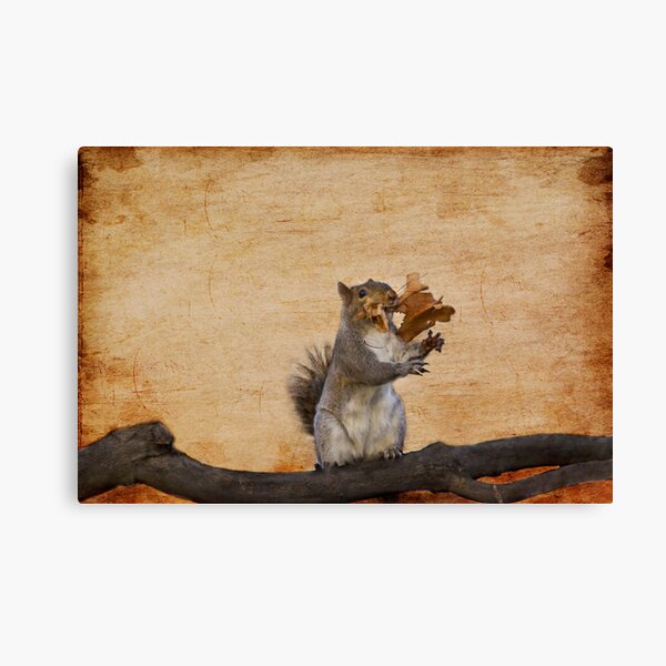 Mouth Full of Leaves Canvas Print