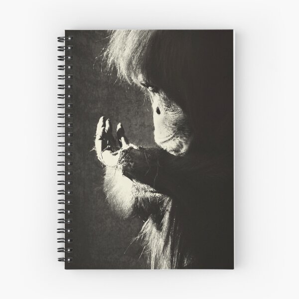 Item preview, Searching designed and sold by Trish Woodford.