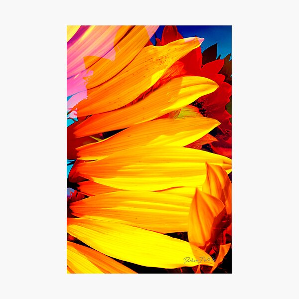 bright as... Photographic Print
