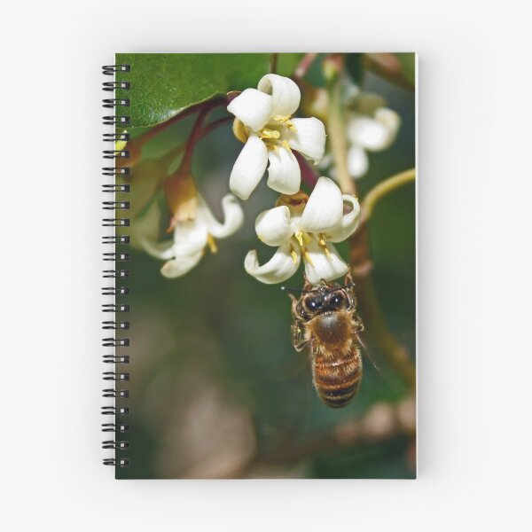 Artikelvorschau, Bee entworfen und verkauft von kwill.