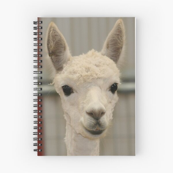 Item preview, Young Alpaca designed and sold by Jenny Brice.