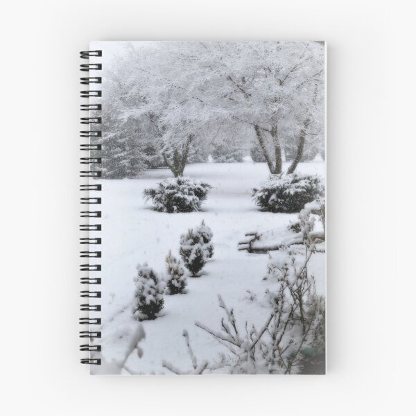 Item preview, Chronicals Of Narnia???? designed and sold by lisamgerken.