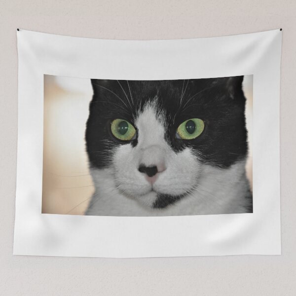 Item preview, Serious stare designed and sold by DonnaM.