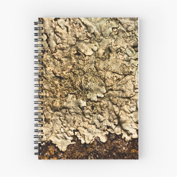 Artikelvorschau, Lichen entworfen und verkauft von Samuel Gundry.