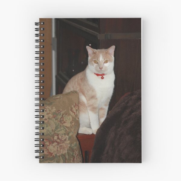 Item preview, Yeah I KNOW I Am A Handsome DEVIL! '10 designed and sold by goldnzrule.