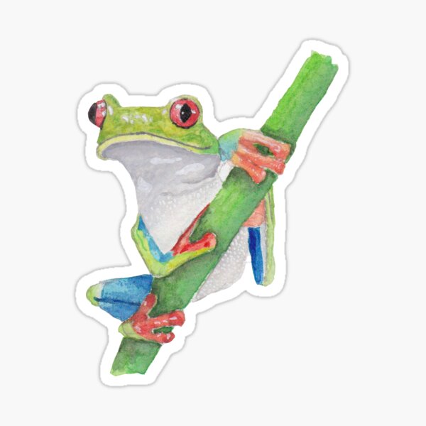 Tree Frog Sticker