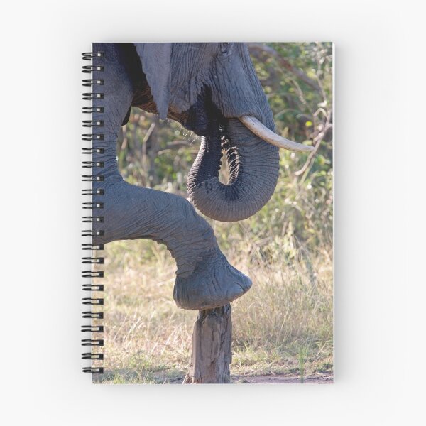 Item preview, How Long Is The Wait For A Pedicure? designed and sold by Michael Moss Photography.