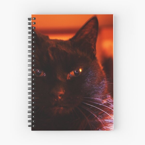 Item preview, Look Into My Eyes ...  designed and sold by J J  Everson.