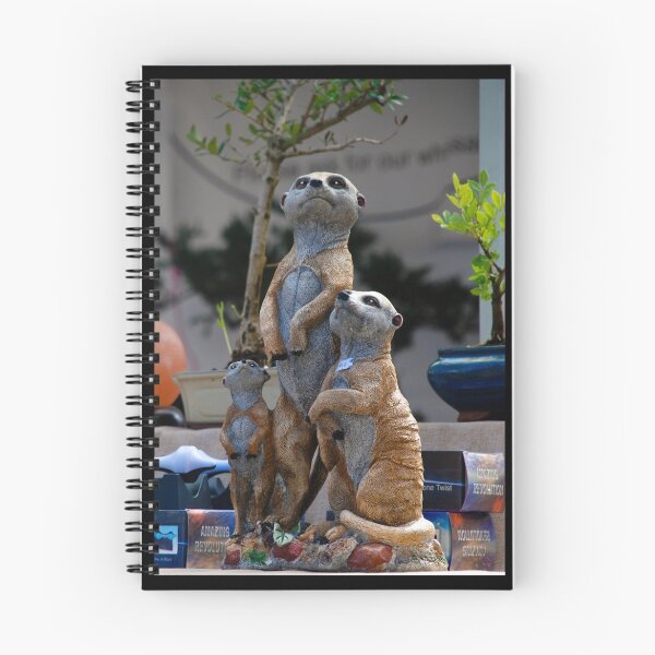Aperçu de l'œuvre Suricate créée et vendue par Farid.