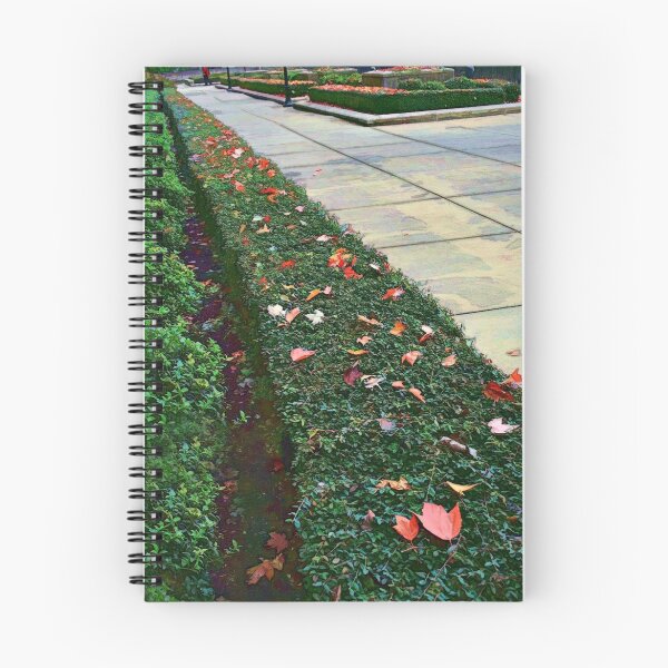 Item preview, Autumn Walk In The Concrete Jungle designed and sold by TeresaB.