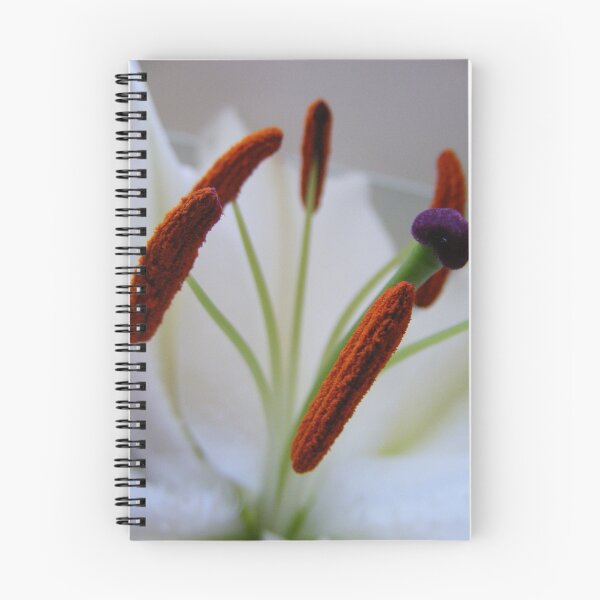 Item preview, Pollen designed and sold by ElsT.