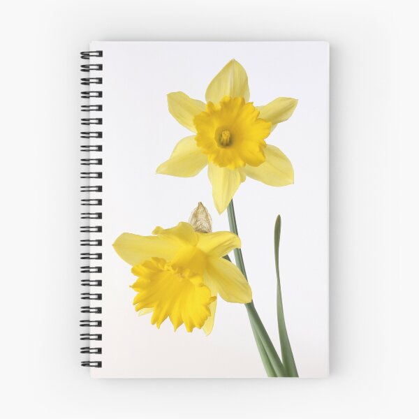 Item preview, two yellow daffodils designed and sold by OldaSimek.