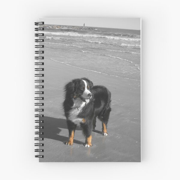 Item preview, Einstein at the Beach designed and sold by Christine  Wilson Photos.