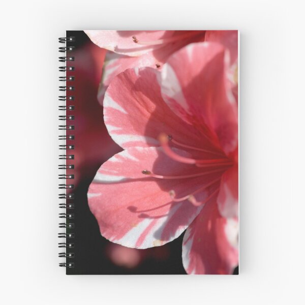 Item preview, Patten ON designed and sold by Joy Watson - Natural Light Photography .