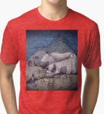 I Protect This Place II Tri-blend T-Shirt