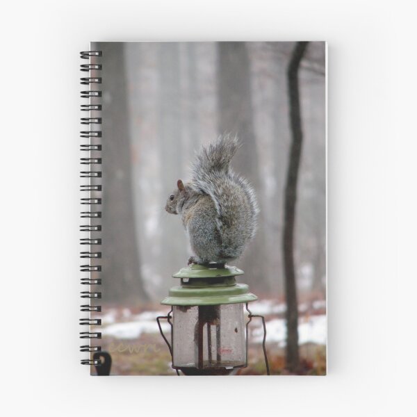 Item preview, A Little Bit Squirrelly  designed and sold by NatureGreeting Cards ©ccwri.