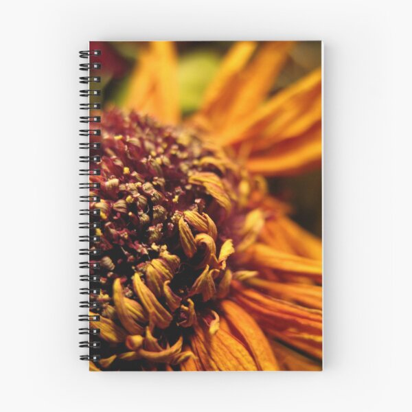 Artikelvorschau, Dried Sunflower entworfen und verkauft von TheRoacH.