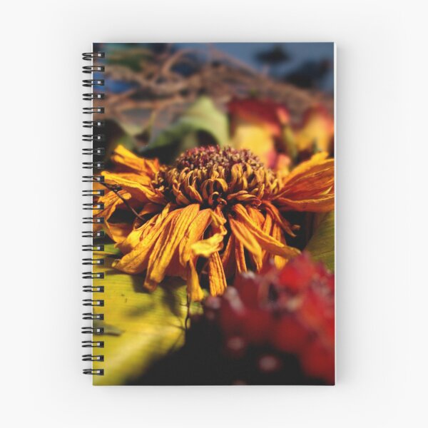 Artikelvorschau, Dried sunflower 2 entworfen und verkauft von TheRoacH.