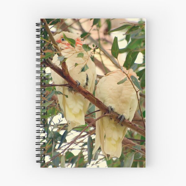 Item preview, Bashful designed and sold by Clive.