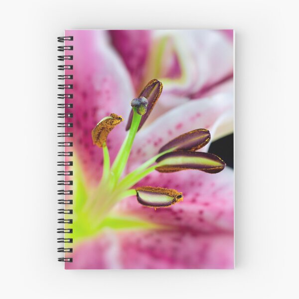 Item preview, Perfect Pink  designed and sold by Claire Tennant.