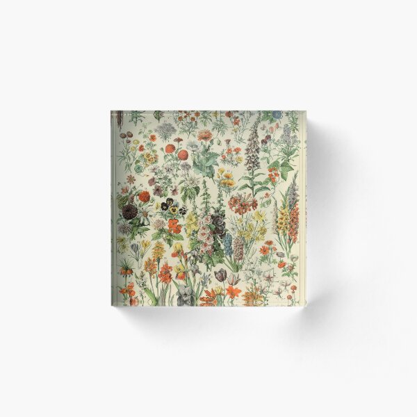 Adolphe Millot Fleurs A Bloc acrylique