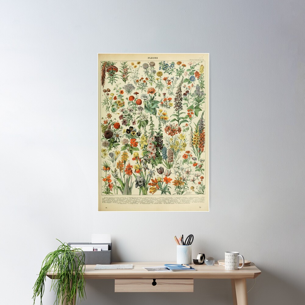 Adolphe Millot Fleurs A Poster