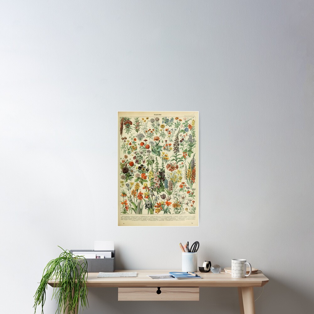 Adolphe Millot Fleurs A Poster