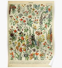 Adolphe Millot Fleurs A Poster