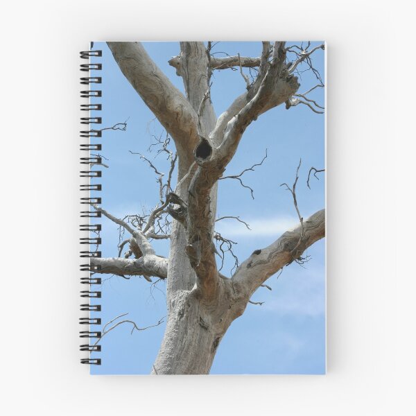 Item preview, Treescape designed and sold by daverach1.