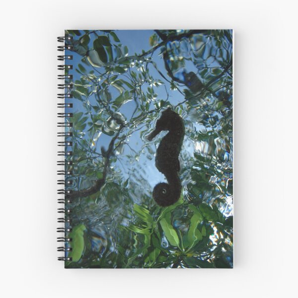 Item preview, Seahorse, Mentawai, Indonesia. designed and sold by Stewart Allen.