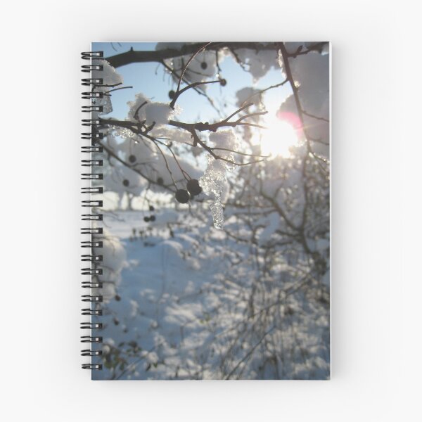 Item preview, Icicles on a hedgerow in East Sussex designed and sold by catherineyoung.