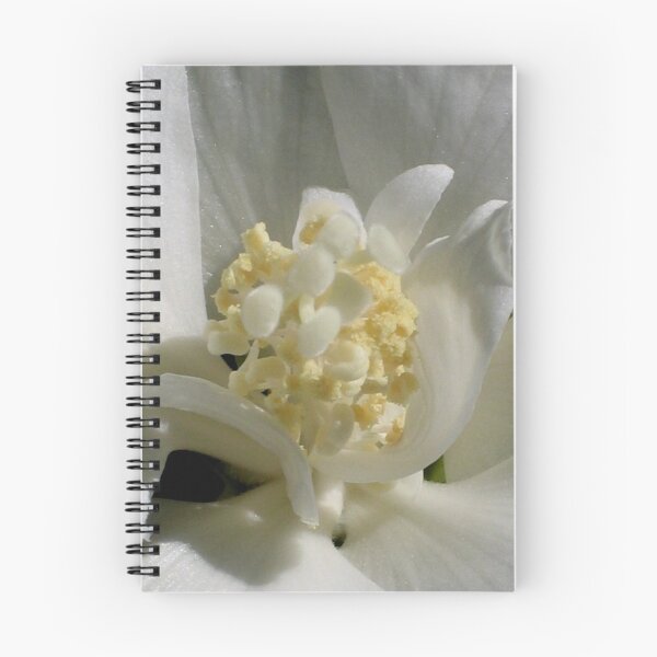 Item preview, White Hibiscus Center designed and sold by art2plunder.