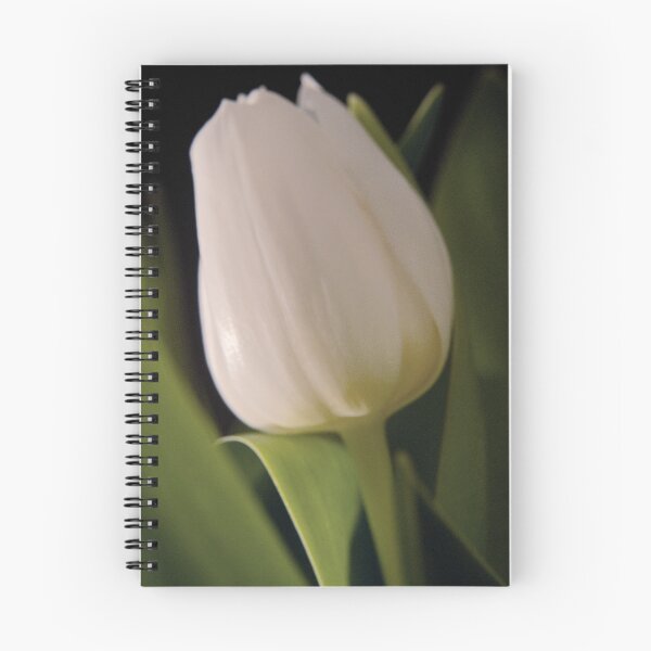 Artikelvorschau, Bright white entworfen und verkauft von Steve plowman.