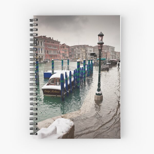 Item preview, Venice Flood designed and sold by Summicron.