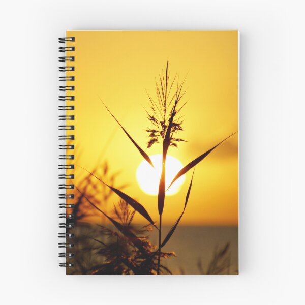 Item preview, feeded by the sun designed and sold by shrdn.