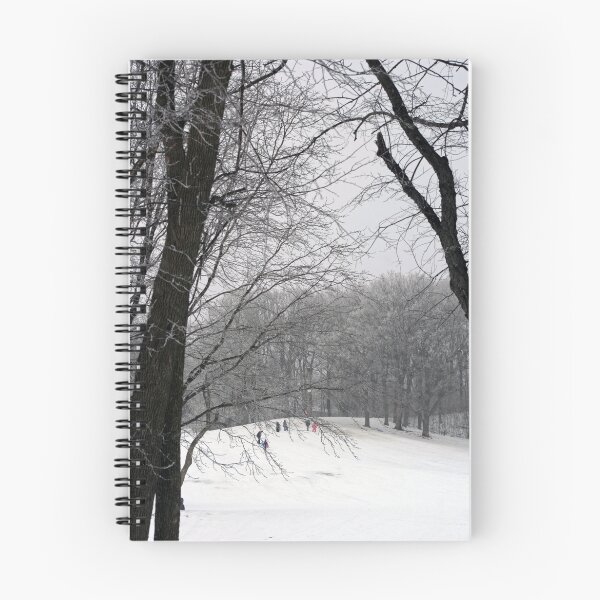 Item preview, Sledding At Petrifying Springs Park designed and sold by kkphoto1.