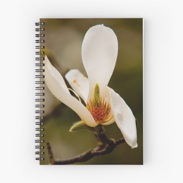 Aperçu de l'œuvre Magnolia créée et vendue par Janos Sison.