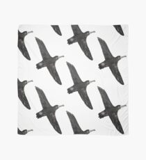 Black-Footed Albatross Scarf