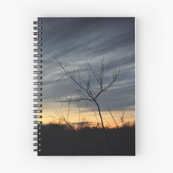 Item preview, Bare branches against a winter sunset designed and sold by mltrue.