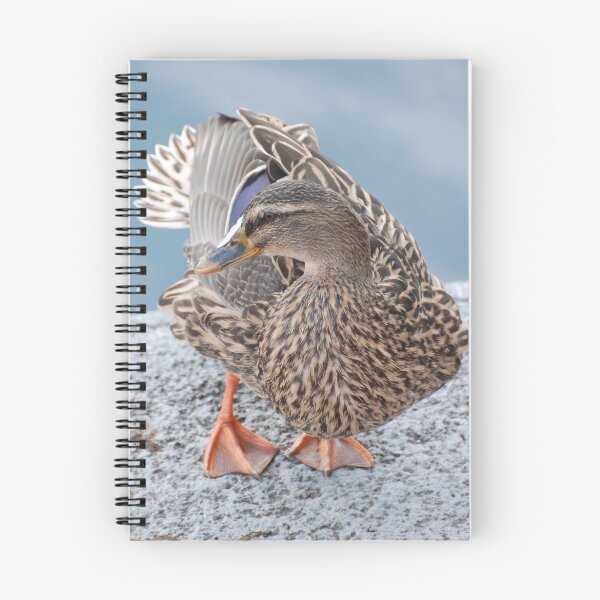 Item preview, Playing Coy..... Decoy!   designed and sold by Lisa Baumeler.