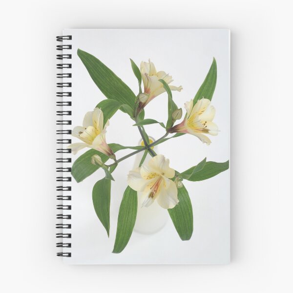 Artikelvorschau, Peruvian Lily in vase entworfen und verkauft von OldaSimek.