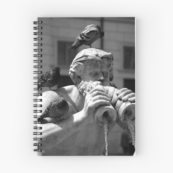Artikelvorschau, Bird Bath entworfen und verkauft von Andy Mays.