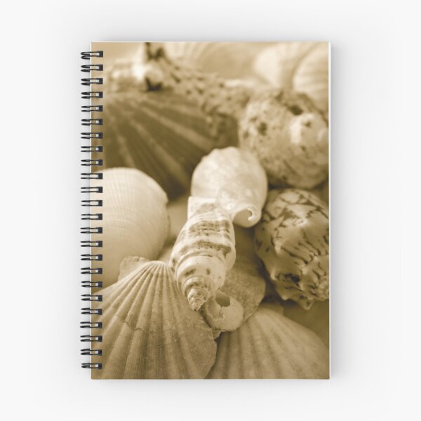 Item preview, Shells designed and sold by snehit.
