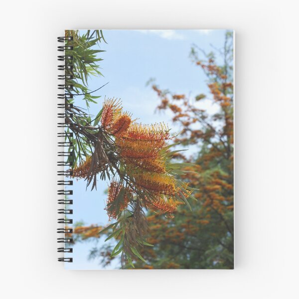 Item preview, Silk Oak (Grevillea Robusta) : The Tree designed and sold by Lozzar Flowers & Art.