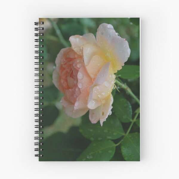 Item preview, The dew of heaven kisses my heart.  designed and sold by Lozzar Flowers & Art.