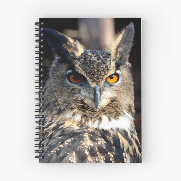 Item preview, Max the Eurasian Owl designed and sold by Sheila Smith.