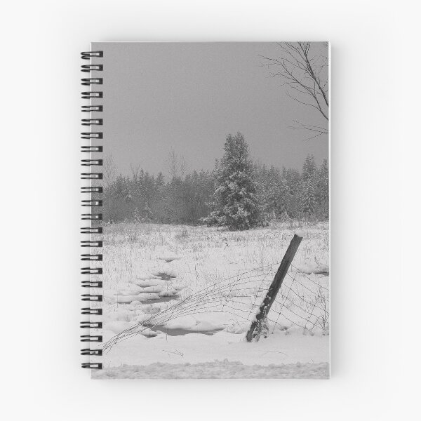 Item preview, Snowed.............. designed and sold by Larry Llewellyn.
