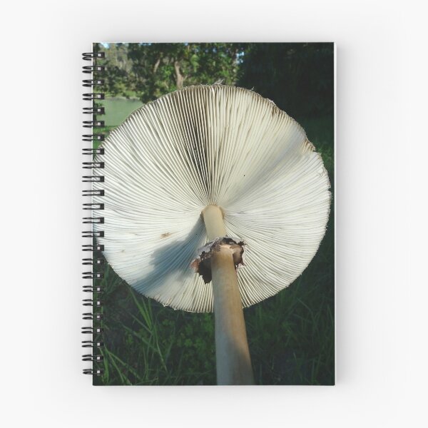 Item preview, Under my umbrella designed and sold by ChristinaR.